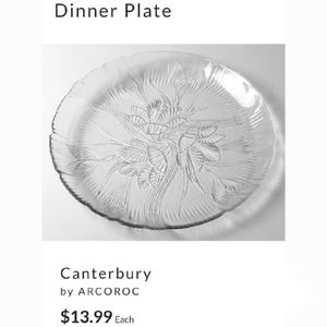 10 3/4" "Canterbury" Plate Excellent Condition by Arcoroc France 🇫🇷